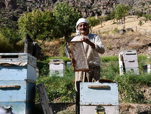 51 yıl önce başladığı mesleğiyle 6 çocuğunu okuttu: Hala ilk günkü gibi çalışıyor