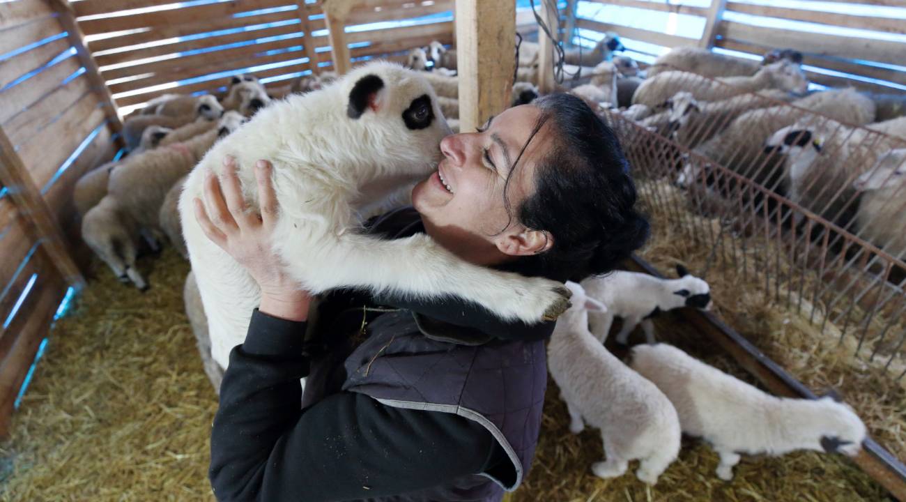 Şehri geride bıraktı köye yerleşti: Doğum günü hediyesi hayatını değiştirdi