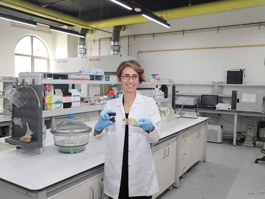 Plastiğe alternatif olacak: Meyve kabuklarından biyobozunur ambalaj geliştirilecek