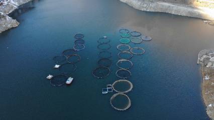 Deniz yok ama üretim var: Gümüşhane’de alabalık 2 bin ton sınırına dayandı