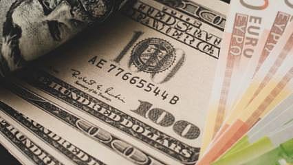 Dolar ve euro bugün ne kadar? İşte 7 Ağustos 2026 güncel döviz kurları