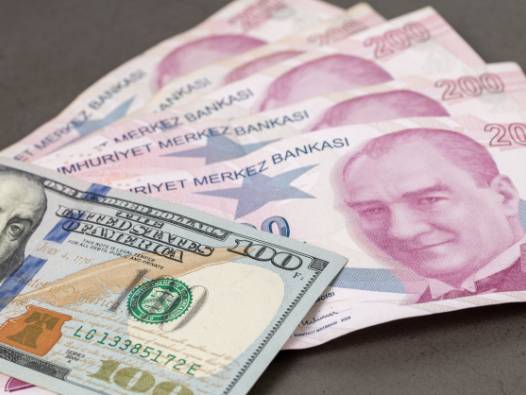 Tarihi zirveyi gördü: Merkez Bankası rezervleri ikinci haftada da rekor tazeledi