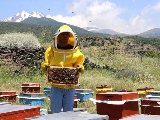 Terk edilen ata toprağına dönüş başarı getirdi: 7 kovanla başladı, hedefi 1 ton bal