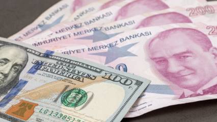 Tarihi zirveyi gördü: Merkez Bankası rezervleri ikinci haftada da rekor tazeledi