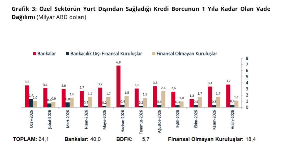 Özel sektörün yurt dışı kredi borcu 219,7 milyar dolara çıktı-4