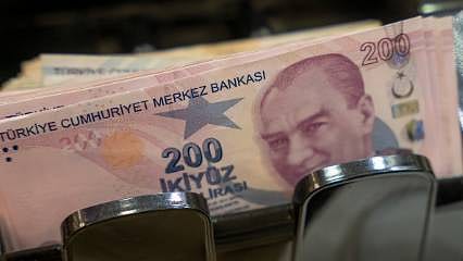 Engelli ve eski hükümlülere hibe desteği başvuruları başladı