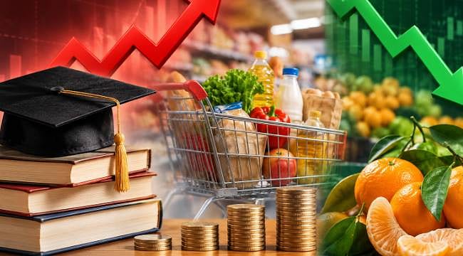 Eylülde fiyatı en çok artan ve düşen ürünler belli oldu! Zam şampiyonu hangisi?
