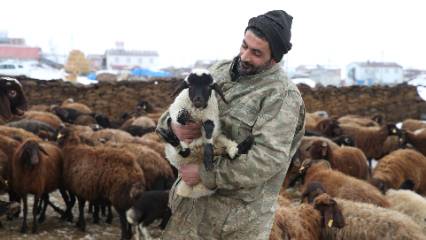 Detaylar: Şehirden köye dönüş hikayesi: Pastaneciliği bıraktı, koyun sürüsü sahibi oldu