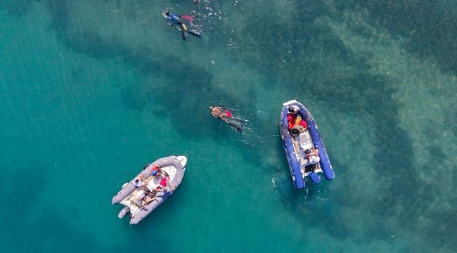 Denizin altından adeta çöp yığını çıktı: Dalgıçlar 310 kilogram atık çıkardı