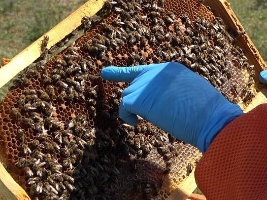 Hafta sonları 450 kilometre yol yapıyor: Hobi olarak başladı, şimdi kendi markası var