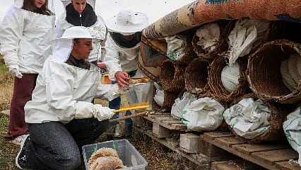 Kadınların yeni uğraşı gelir kapısına dönüştü: Üretimi artıracaklar