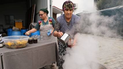 Kadın emeği kazanlarda kaynıyor: Odun ateşinde hazırlanan kozalak şurubu raflarda