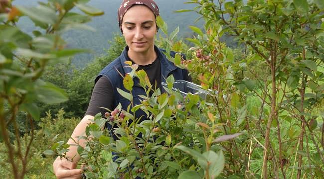 Üniversiteden mezun oldu, rotasını değiştirdi: Şimdi Türkiye'nin dört bir yanından talep geliyor