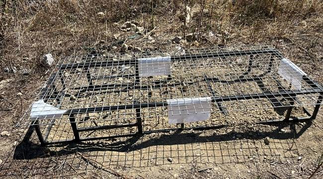 Tek kullanımlık plastiklere yeni alternatif: Biyobozunur kap geliştiriliyor