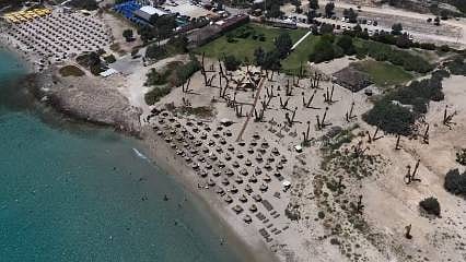 Çeşme'de yüksek lisans tezi gerçeğe dönüştü: Plajda sürdürülebilir turizm modeli