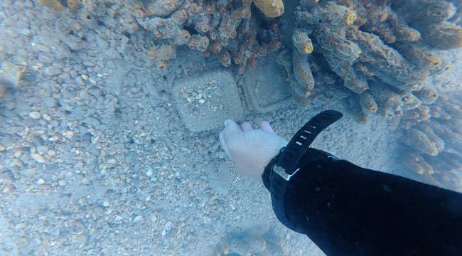 Bodrum’da denizin altından çıkanlar şaşırttı: 75 kilogram atık toplandı