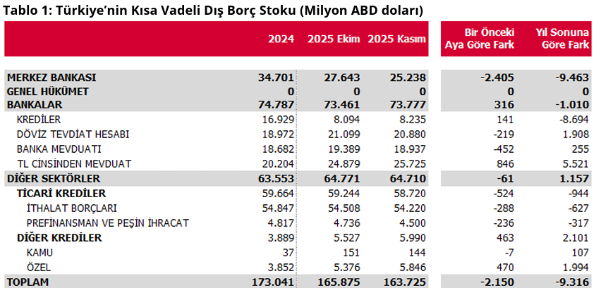 Kasım verileri belli oldu: Kısa vadeli dış borç stokunda aşağı yönlü seyir-2