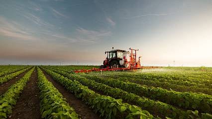 Detaylar: Tarımsal maliyetler aylık ve yıllık arttı