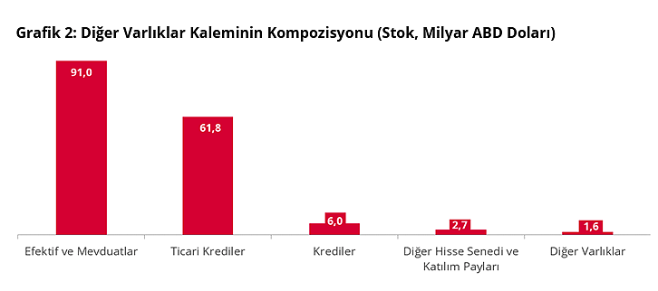 Merkez Bankası açıkladı: Türkiye'nin net uluslararası yatırım pozisyonu açığı belli oldu-2