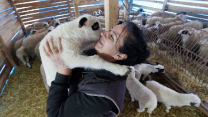Detaylar: Şehri geride bıraktı köye yerleşti: Doğum günü hediyesi hayatını değiştirdi