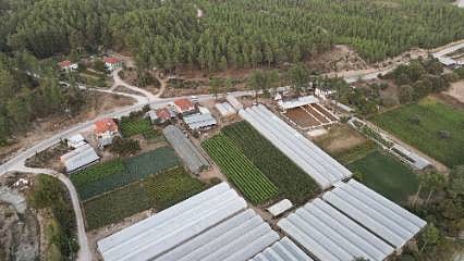 Kentsel Dönüşüm Başkanlığı 24 ilde 660 arsayı satışa çıkaracak: Müzayede ne zaman, ödeme şartları neler?