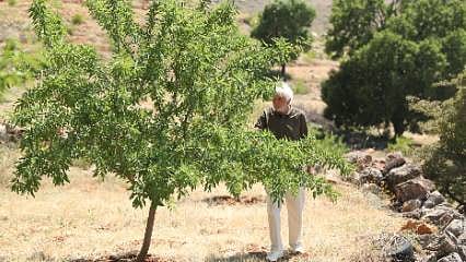 Atıl arazilerin kaderini değiştirdi