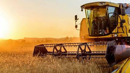 Detaylar: Rekabet Kurumu mercek altına almıştı: Tohum piyasasında rekabet ihlali soruşturmasında karar verildi