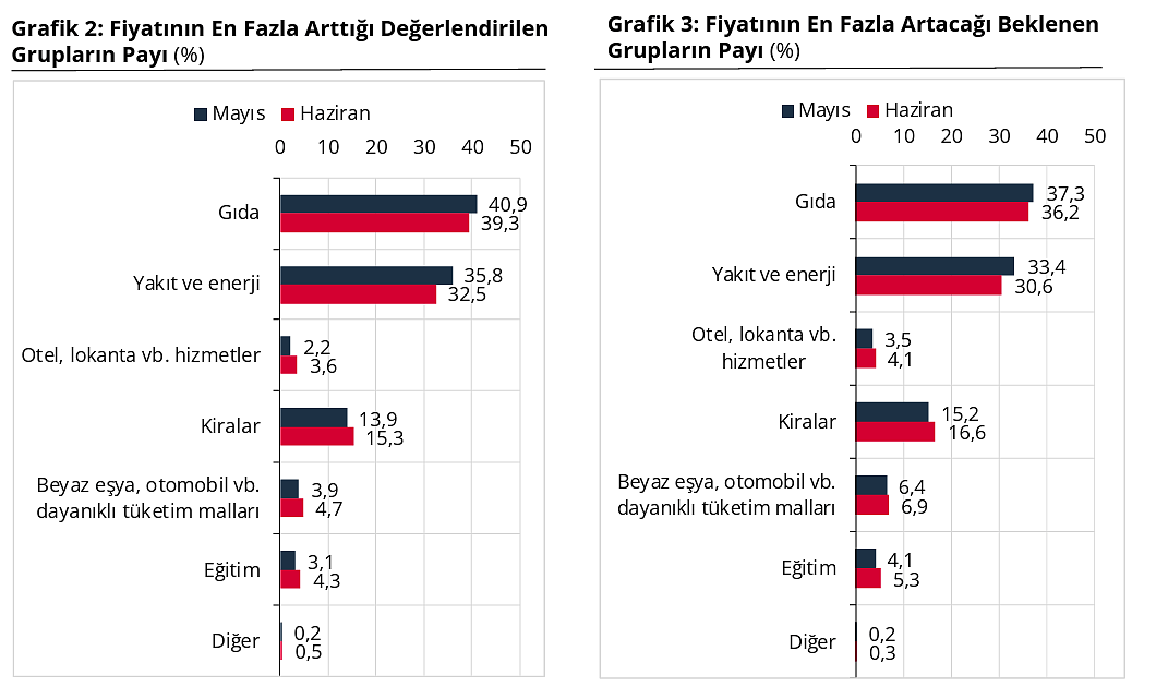 Anket sonuçları yayımlandı: Vatandaşın enflasyon beklentisi ne oldu, yatırım tercihleri değişti mi?-2