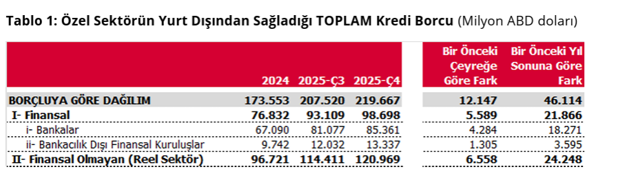 Özel sektörün yurt dışı kredi borcu 219,7 milyar dolara çıktı-2