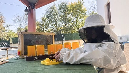 Kimya mühendisinden sıra dışı uygulama: Cam kovanla arıların dünyasını tanıtıyor