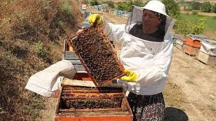 Bir kovanla başladı, 30 yılda geçim kapısına dönüştürdü