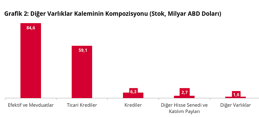 Net uluslararası yatırım pozisyonu açığı belli oldu-2