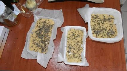 Lavaboya dökülmesin diye harekete geçtiler: Atıkları ekonomiye kazandıracaklar
