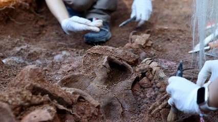 Ordu'da 2 bin 300 yıllık tarih gün yüzüne çıkıyor: Bölgeye katma değer katacak