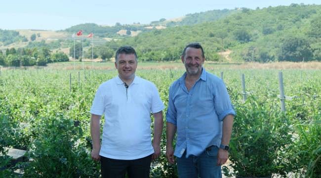 Yaban mersininde küresel lig hedefliyor