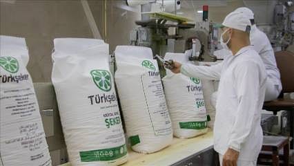 Türkşeker işçi alımı ne zaman başlıyor? Kadro dağılımı açıklandı mı?