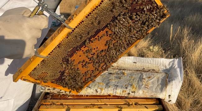 Eskişehir’de üretiyor, dünyadan talep alıyor: Hedefinde iki ülke var