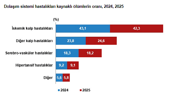 TÜİK açıkladı: Türkiye'de en çok ölüme neden olan hastalık hangisi?-4