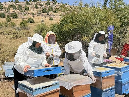 Küçük bir destekle başladılar: Şimdi aile bütçesine katkı sağlıyorlar