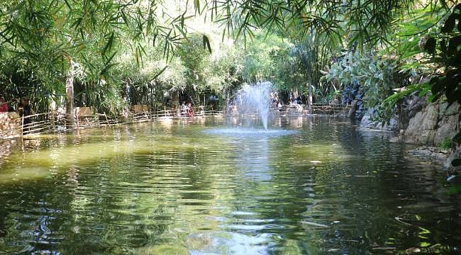 Hobi olarak başladı, tropikal orman parkına dönüştü: Suriye'nin dikkat çeken turizm projesi