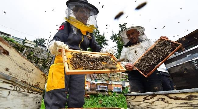 Artvin'de arı ve bal turizmi için yeni adım: Apiturizm için düğmeye basıldı