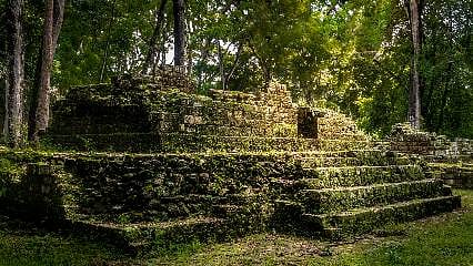 Google'da 16. sayfaya kadar indi ve kayıp bir Maya şehri buldu