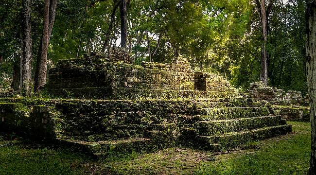 Google'da 16. sayfaya kadar indi ve kayıp bir Maya şehri buldu
