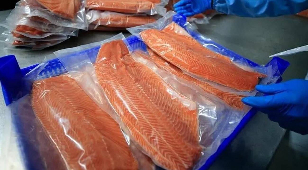 Türk somonu dünya sofralarında: Ekonomiye 201 milyon dolar kazandırdı