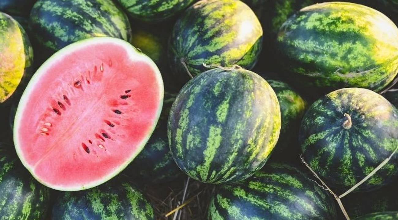 İstanbul’da karpuz tüketimi mayısta rekor kırdı: Kiraz fiyatıyla cep yaktı
