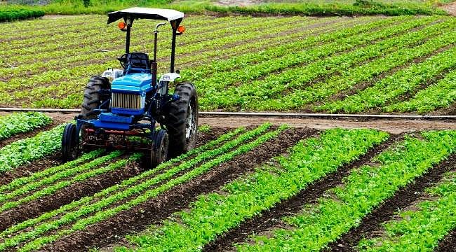 Kırsal kalkınma desteklerinde başvuru süresi uzatıldı