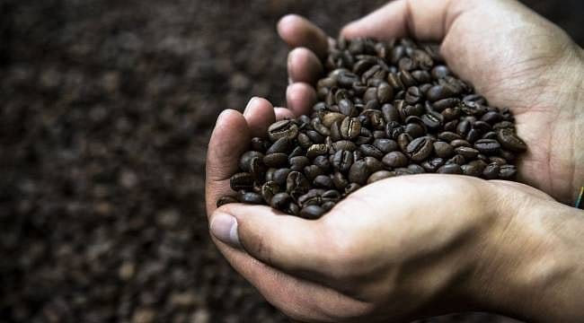 Kahve fiyatlarında çift haneli yükseliş: Emtia piyasaları hareketlendi