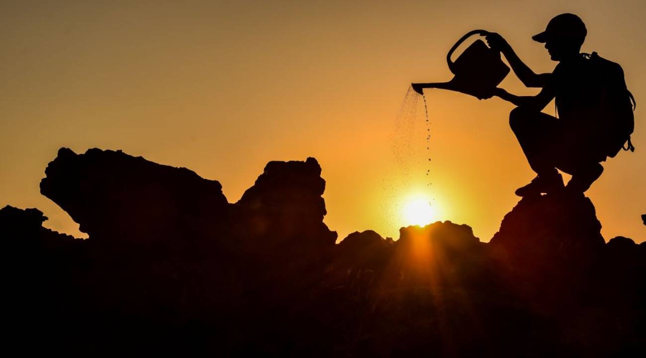 Yeni araştırma: Birçok sağlık sorununun nedeni bu olabilir