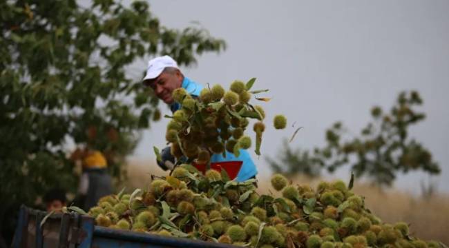 ÇORAK ARAZİYİ ANDIRIYORDU, BURADA NE İŞİNİZ VAR DEDİLER