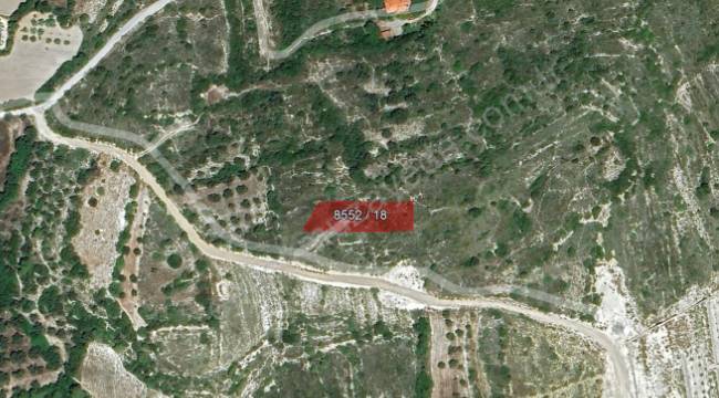 İZMİR ÇEŞME MUSALLA'DA 1.350,00 M² KONUT ALANI